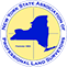logo nysapls