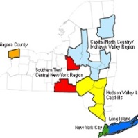Can NY Rising Help You?