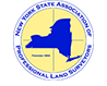 nys icon