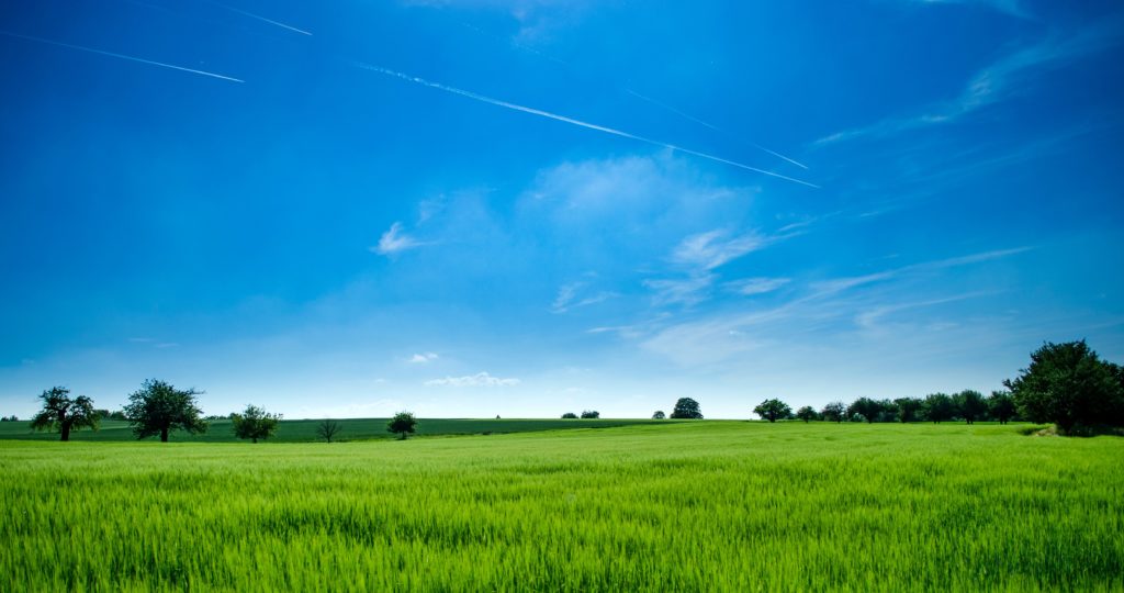 Land Surveyors