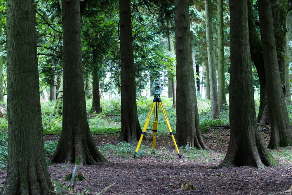 surveying equipment in the trees
